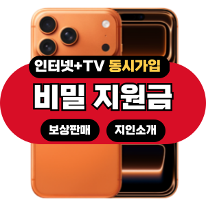 아이폰17 ProMax 512G